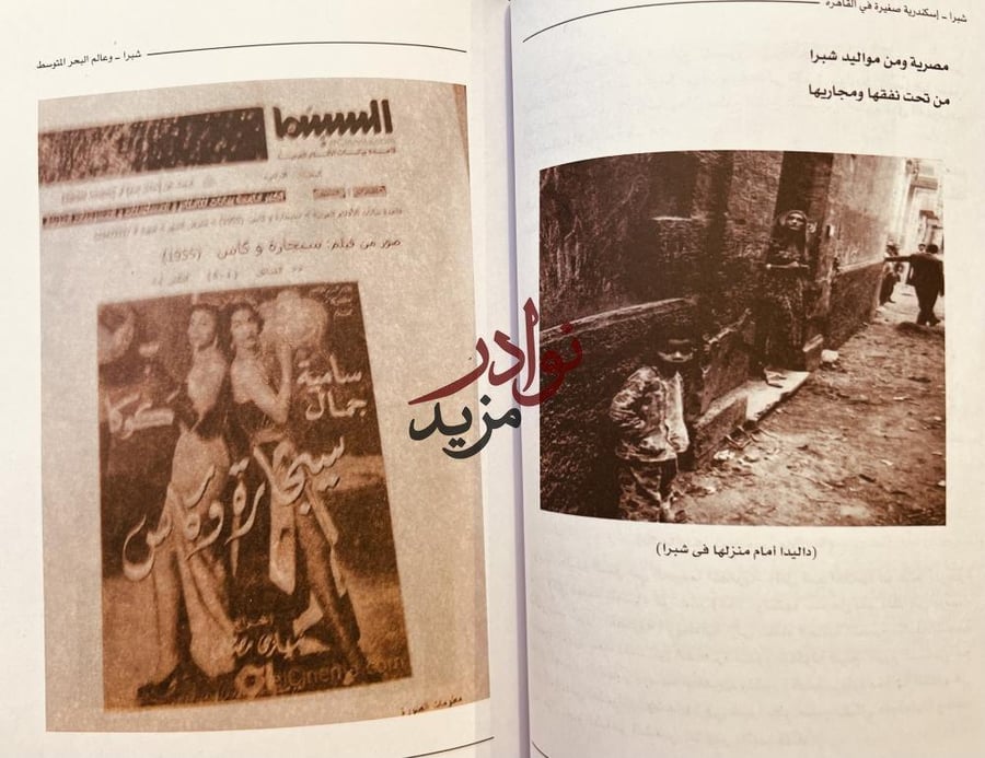 شبرا اسكندرية صغيرة في القاهرة/محمد عفيفي