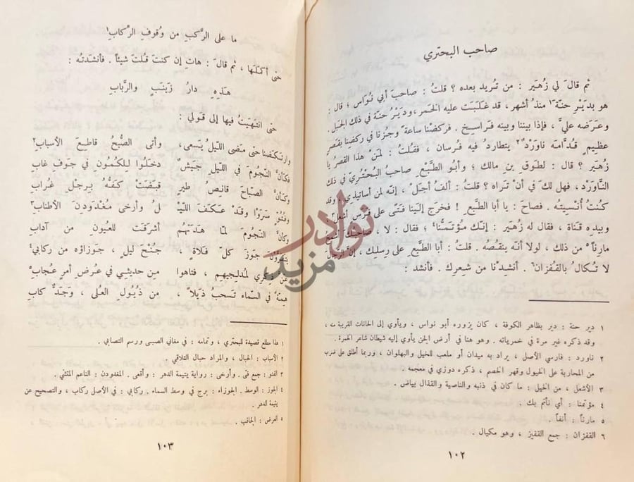 صفحة داخلية كتاب التوابع والزوابع صاحب البحرى