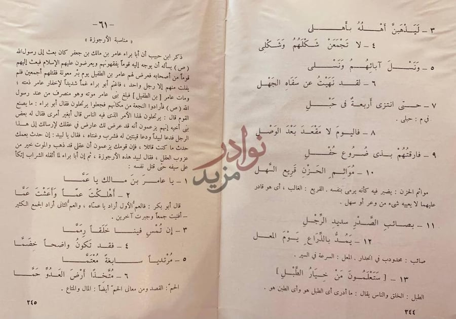 صفحة داخلية كتاب شرح ديوان لبيد بن ربيعة العامري