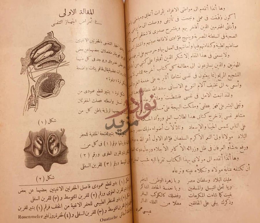 تمهيد كتاب لمحات السعادة في فن الولادة المقالة الاولى