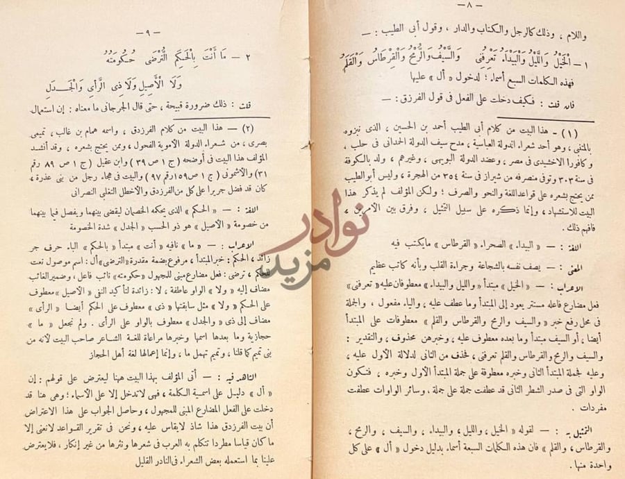 صفحة داخلية كتاب شرح شذور الذهب في معرفة كلام العرب