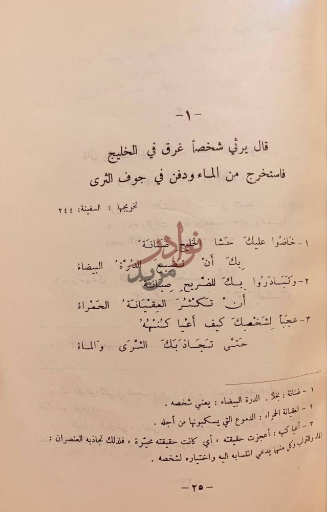 صفحة داخلية كتاب ديوان الرصافي البلنسي قال يرثي شخصا غرق