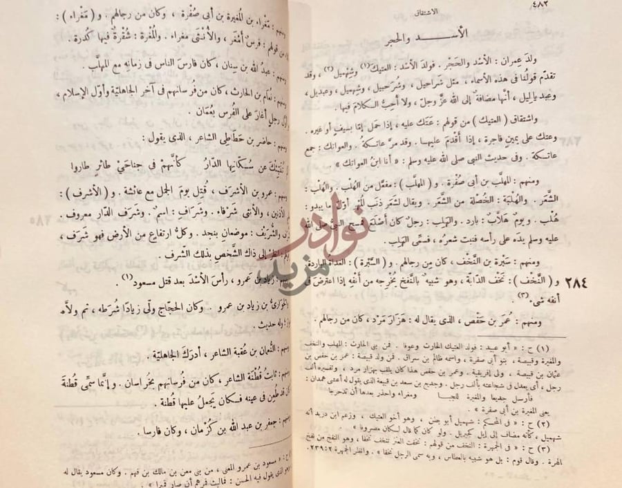 صفحة داخلية كتاب الاشتقاق الأسد والحجر