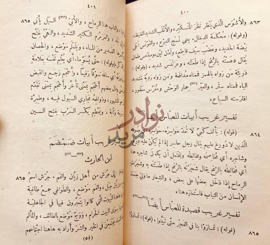 صفحة داخلية كتاب شرح السيرة النبوية رواية ابن هشام