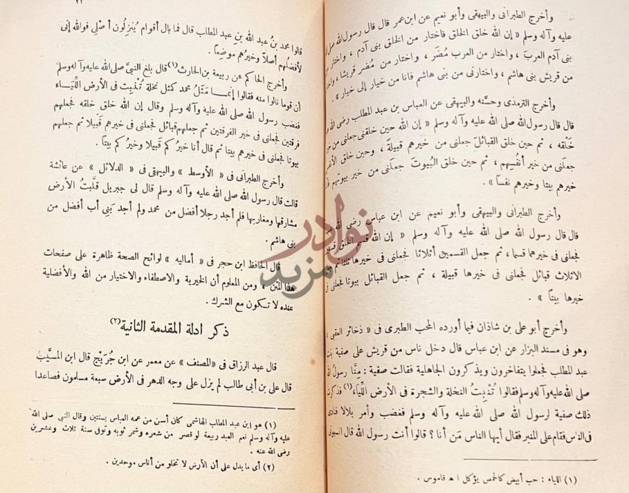صفحة داخلية كتاب رسائل جلال الدين السيوطي في تحقيق نجاة ابوى