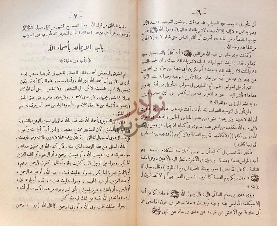 صفحة داخلية كتاب رد الامام الدارمي عثمان بن سعيد على بشر
