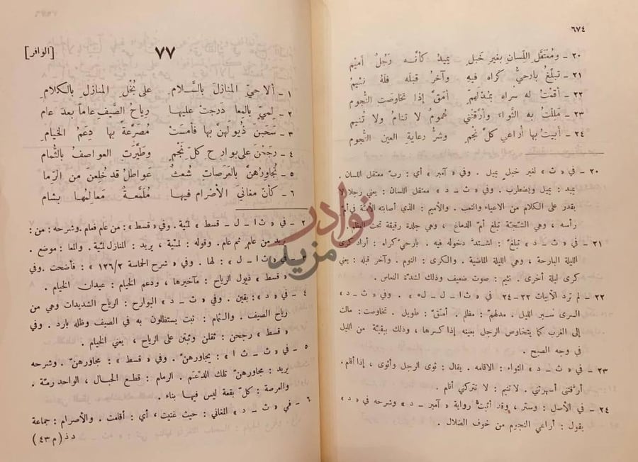 صفحة داخلية كتاب ديوان ذي الرمة الوافر