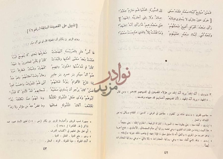 صفحة داخلية كتاب ديوان الحطيئة تذييل على القصيدة