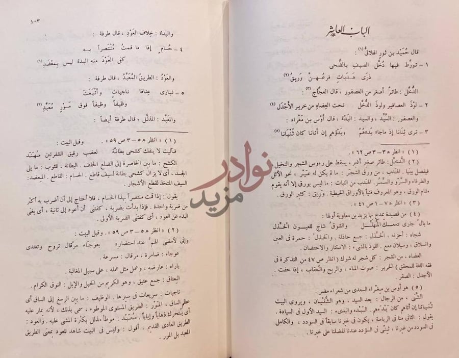 فصل كتاب المسلسل في غريب لغة العرب الباب العاشر صورة 6