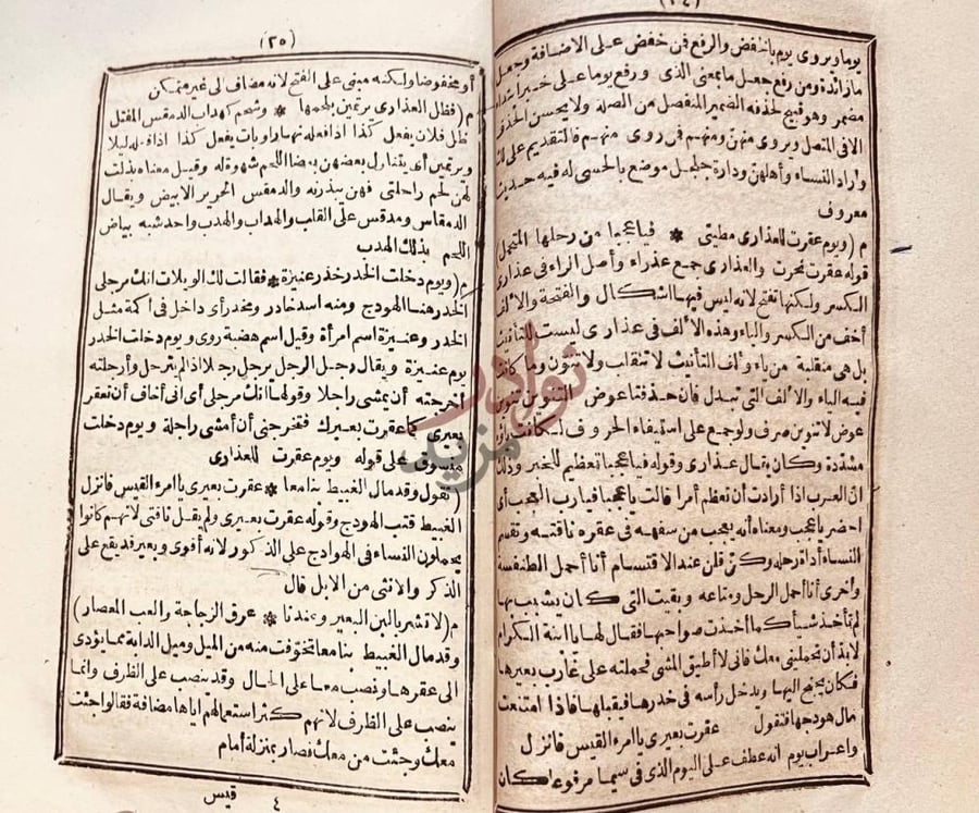 صفحة داخلية كتاب شرح ديوان امرء القيس شرح قصائد امرئ القيس