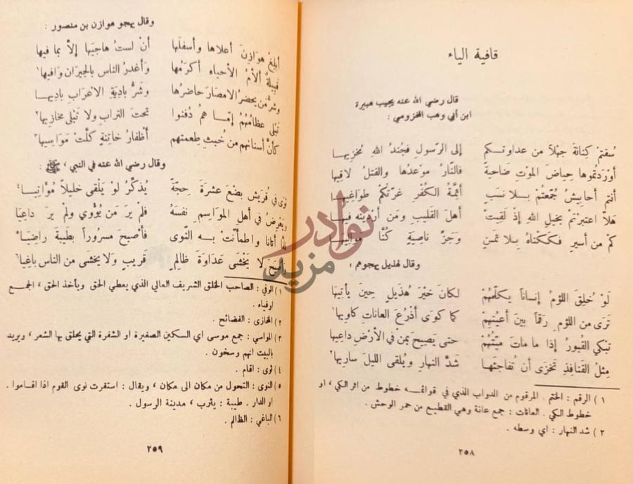 صفحة داخلية كتاب شرح ديوان حسان بن ثابت الانصاري