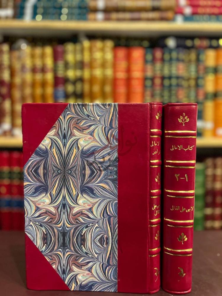 غلاف كتاب الامالي مع الذيل والنوادر