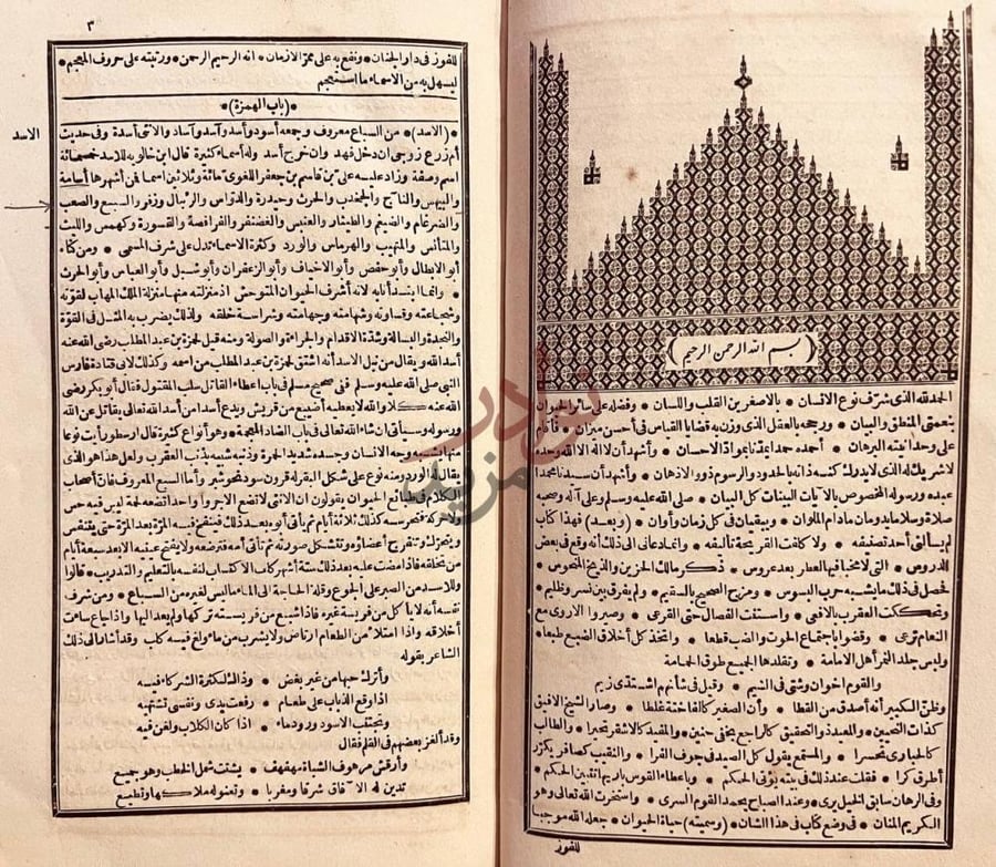 صفحة داخلية كتاب حياة الحيوان الكبرى باب المهملة