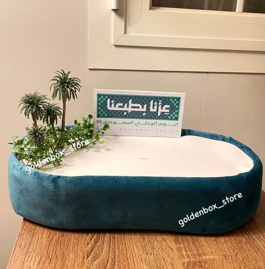 ستاند اليوم الوطني