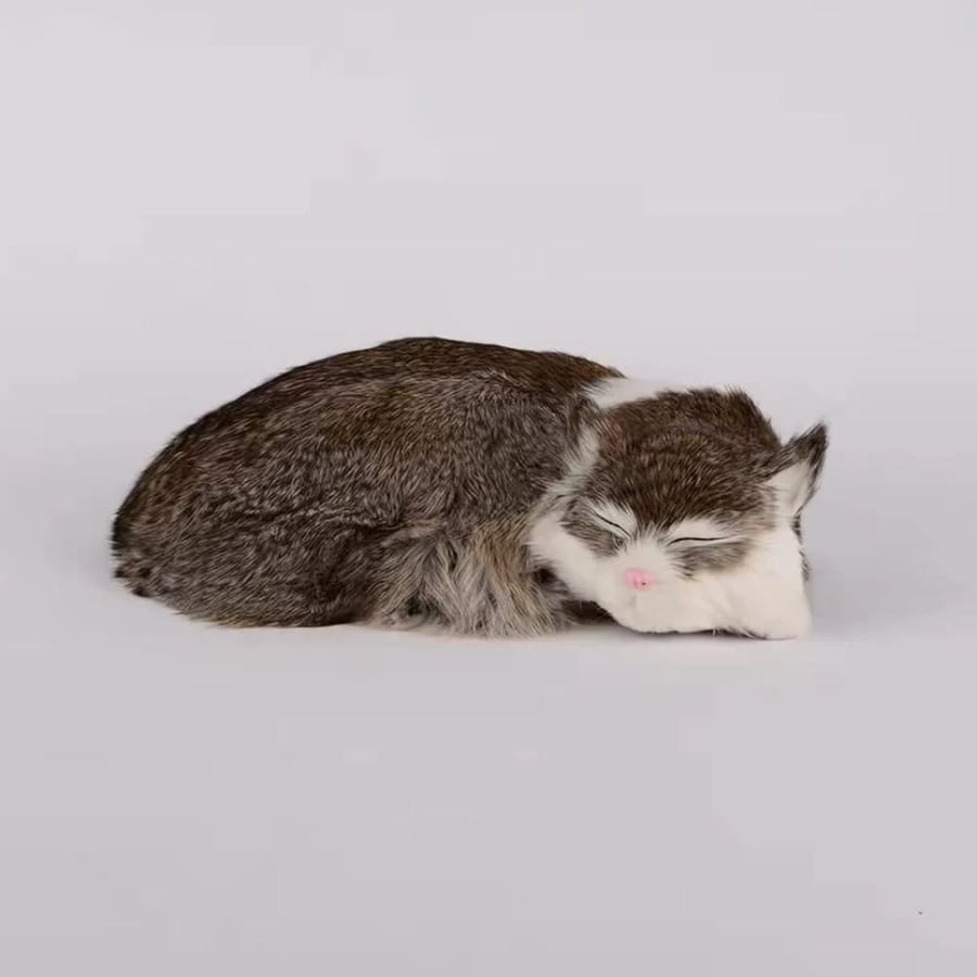 قطه زينه