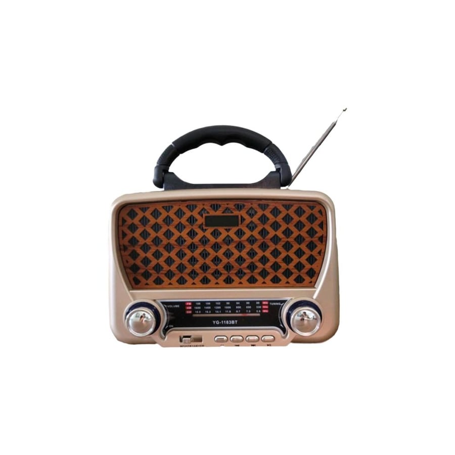 راديو محمول بلوتوث وراديو FM ومصباح يدوي مدمج DENX DX2434