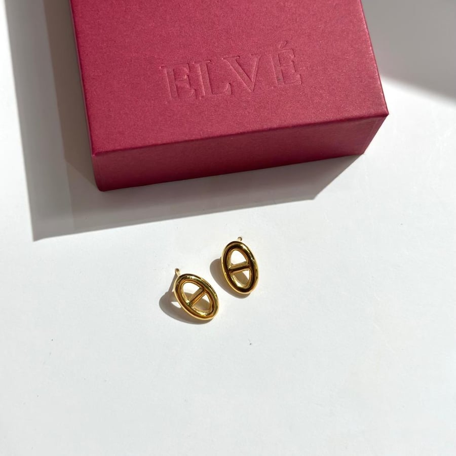 Oval earrings