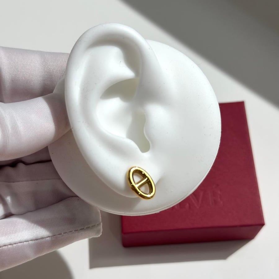 Oval earrings