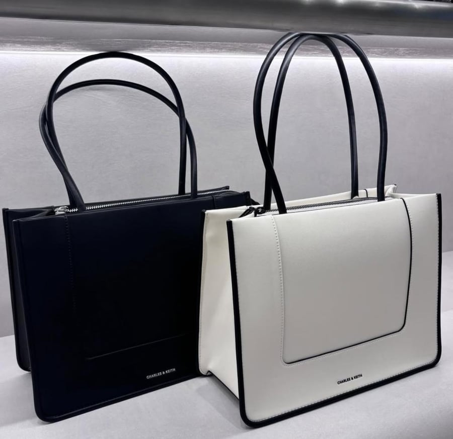 Charles & Keith bag