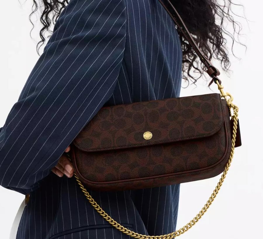 Brook Flap Chain Bag In Signature Canvas Coach