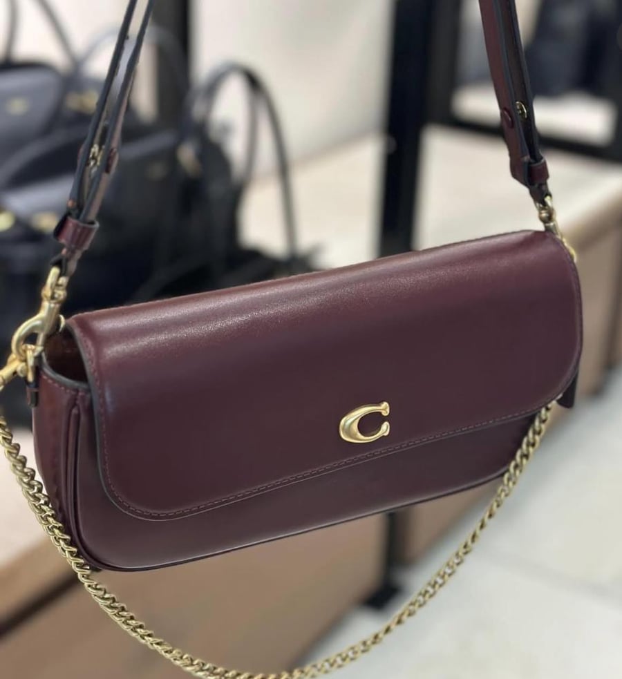 Brook Flap Chain bag Coach