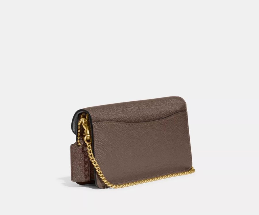Tabby Chain Clutch Coach