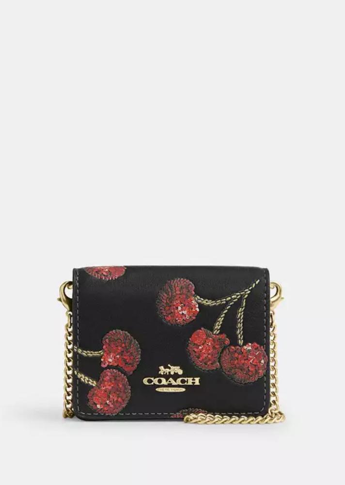 Mini Wallet On A Chain