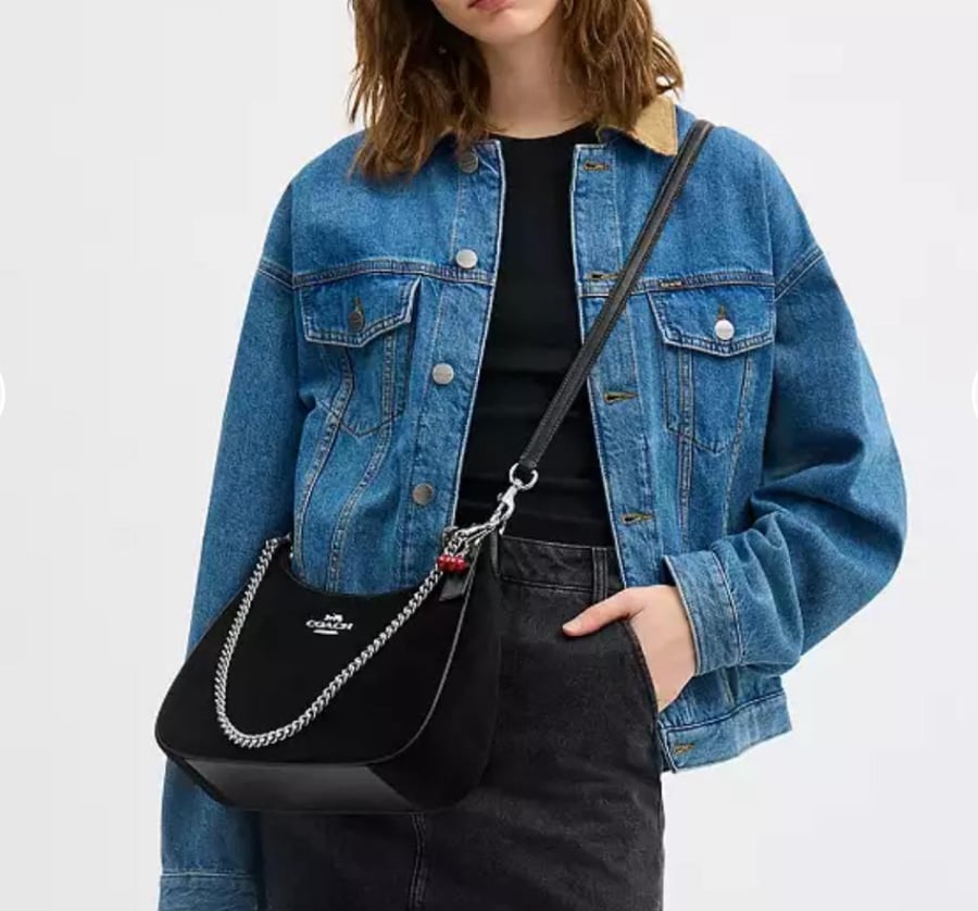 Teri Hobo Bag