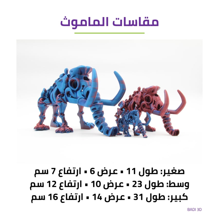 مقاسات الماموث بالعربي للأحجام الثلاثة بالسنتيمتر