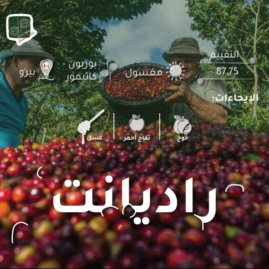 راديانت - مغسول
