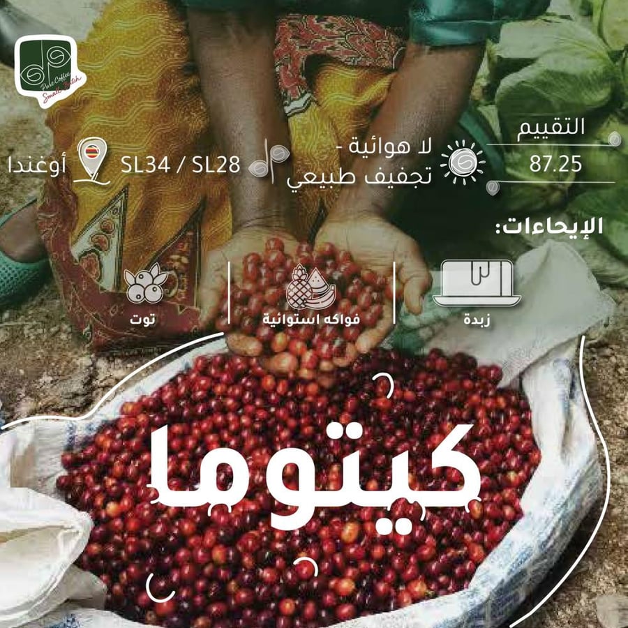 كيتوما - تجفيف لا هوائي