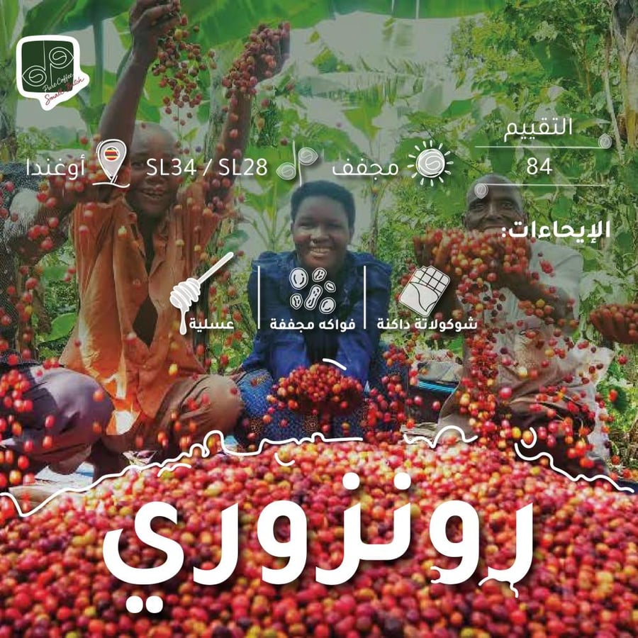 رونزوري - مجفف