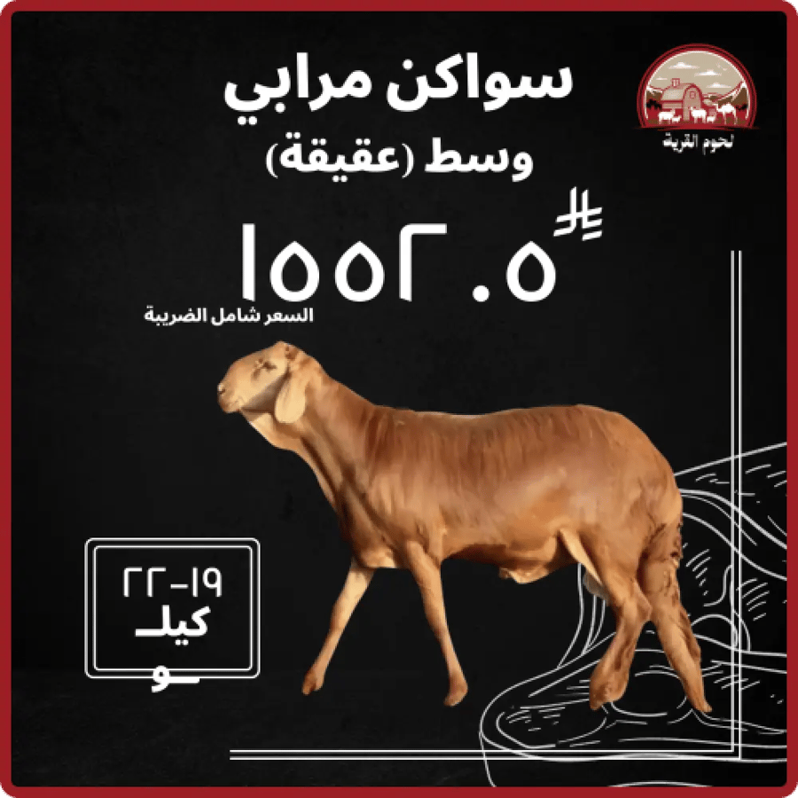 سواكن مرابي