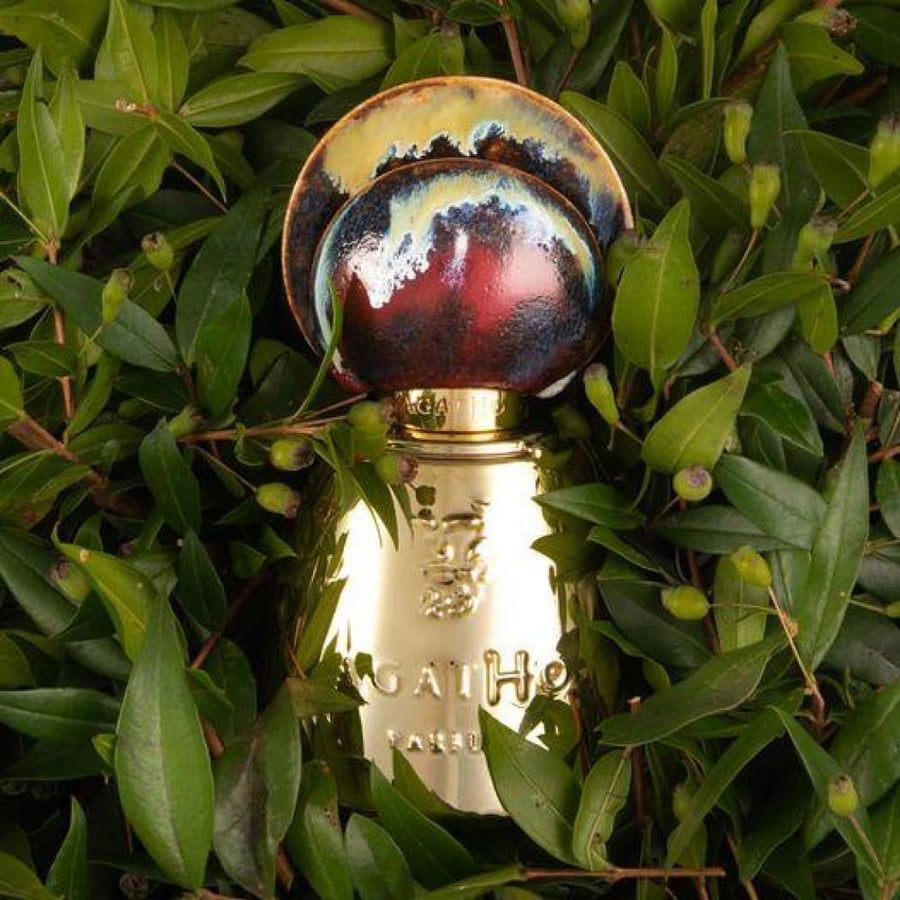 عطور فرنسيه