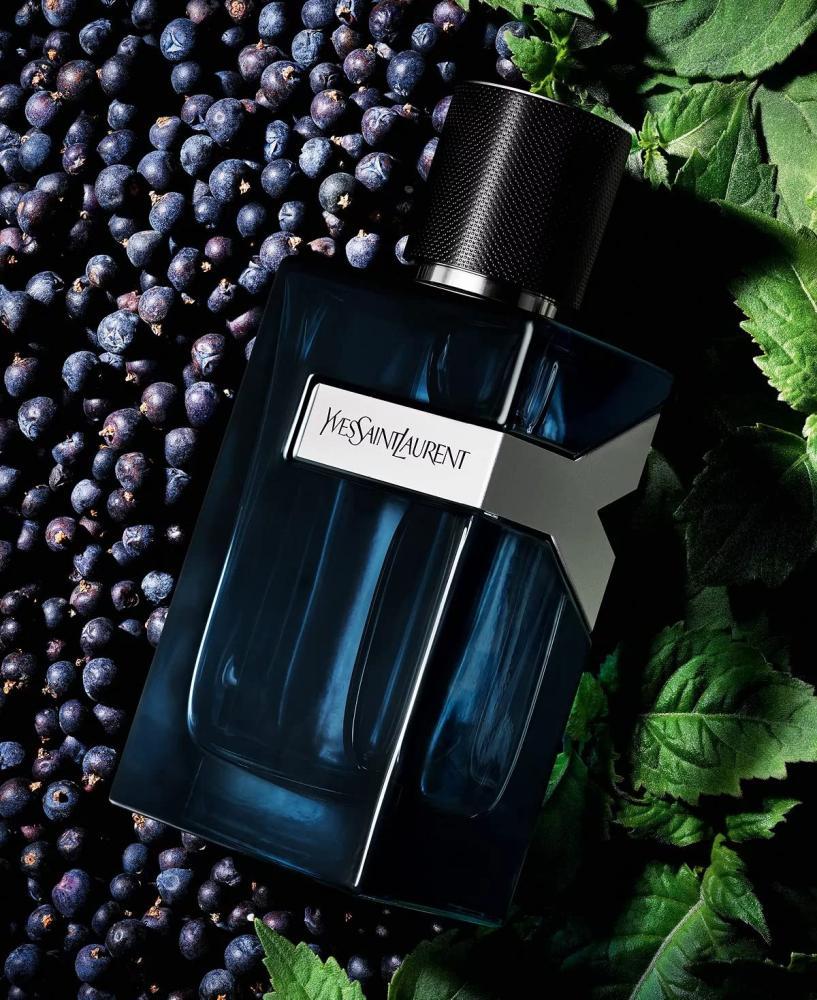 عطر ايف سان لوران أو دو بارفيوم انتنس - 100 مل