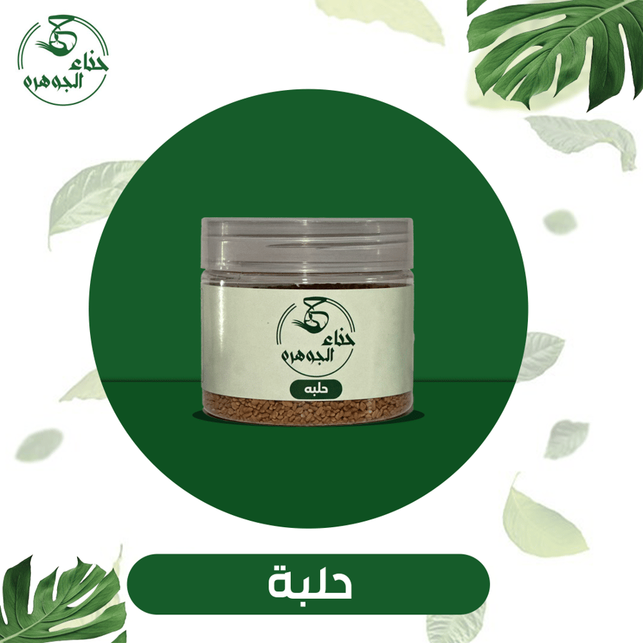 حلبة