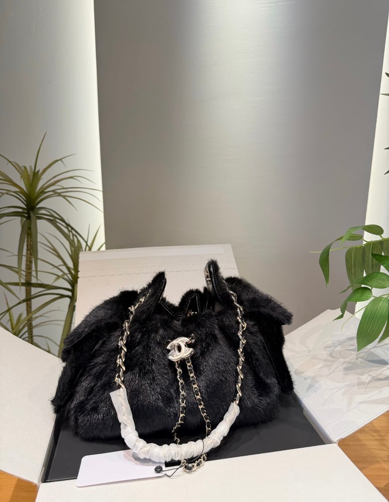CHANEL 25 MINI HANDBAG