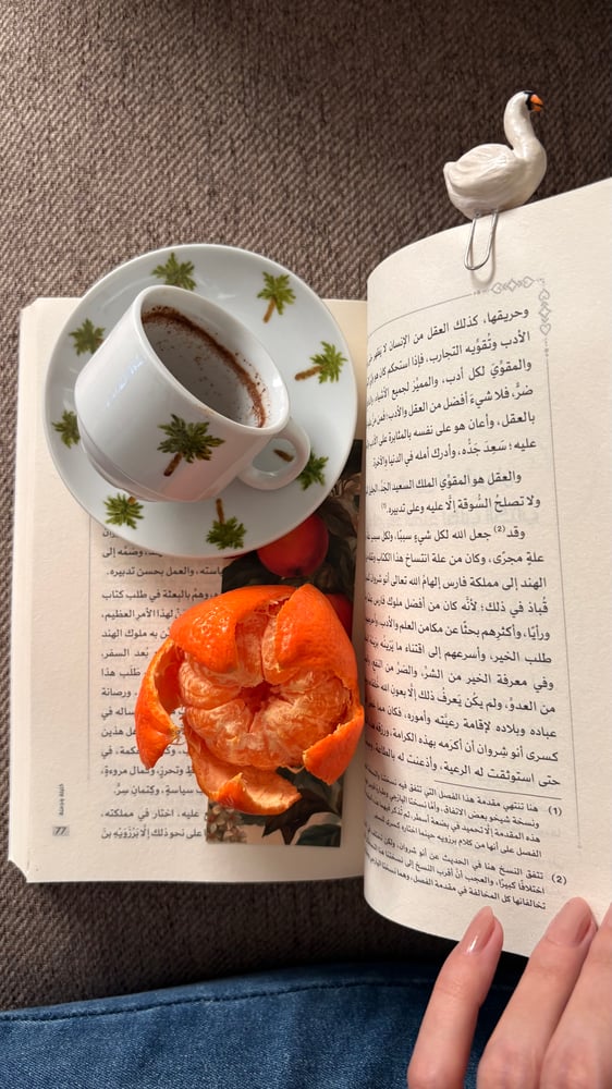 كوب النخيل