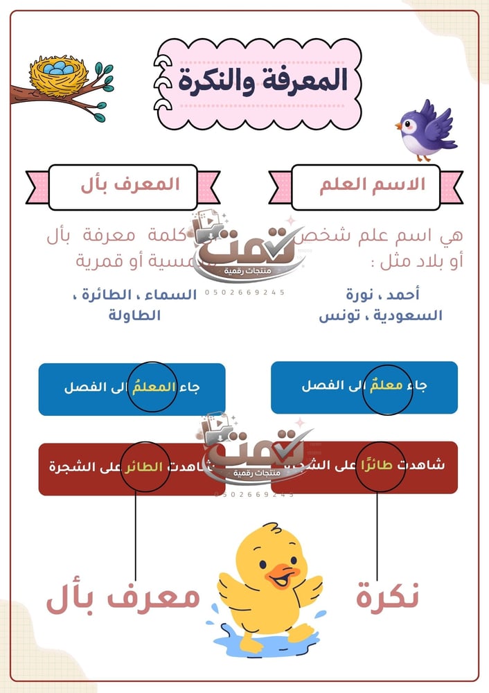 أهم المهارات الأساسية لمادة اللغة العربية – الصف الثالث الابتدائي