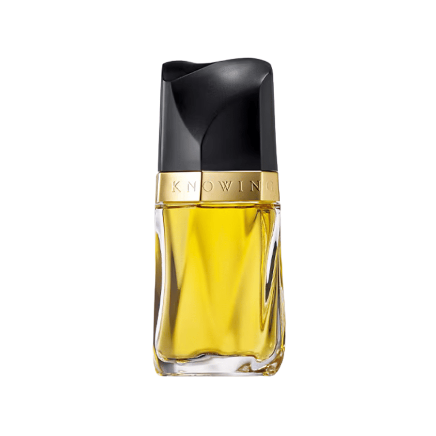 عطر نوينج استي لودر او دو بارفيوم للنساء 75 مل