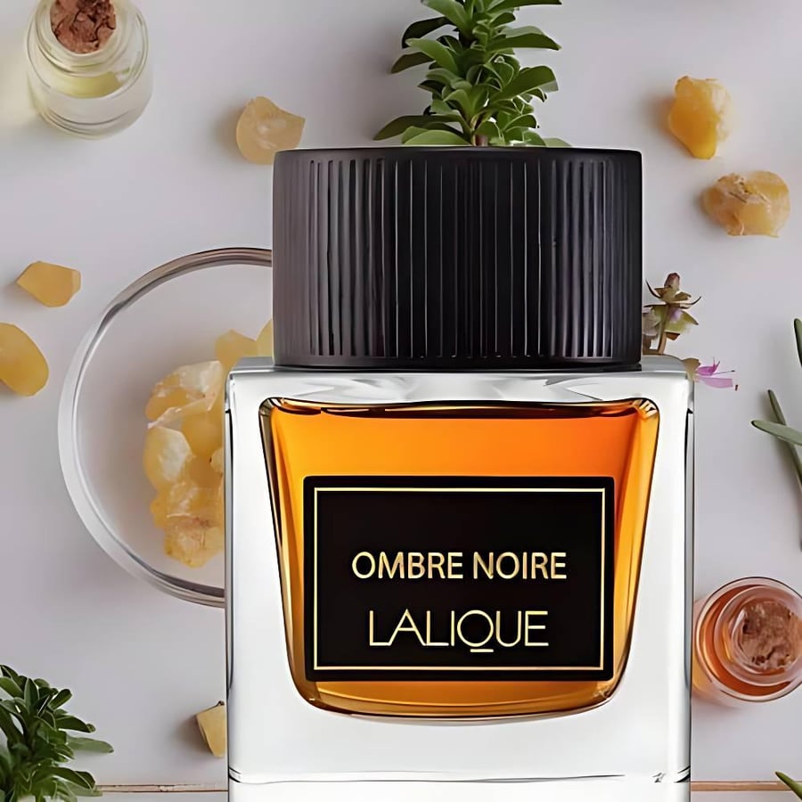 عطر لاليك أومبري نوار للرجال 100 مل