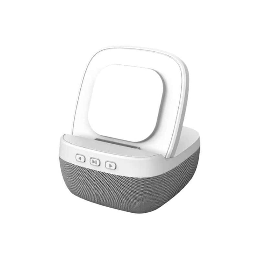 Audiodock Charge