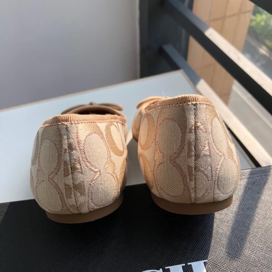 كوتش(لونين)