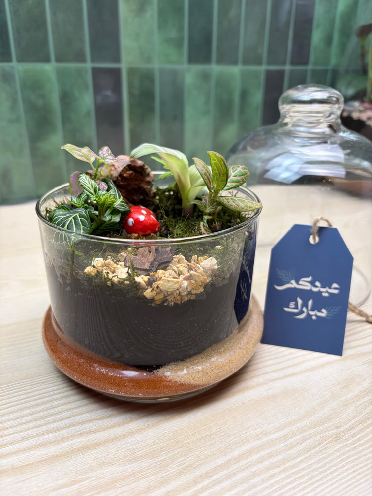 توزيعات العيد 5 🎆