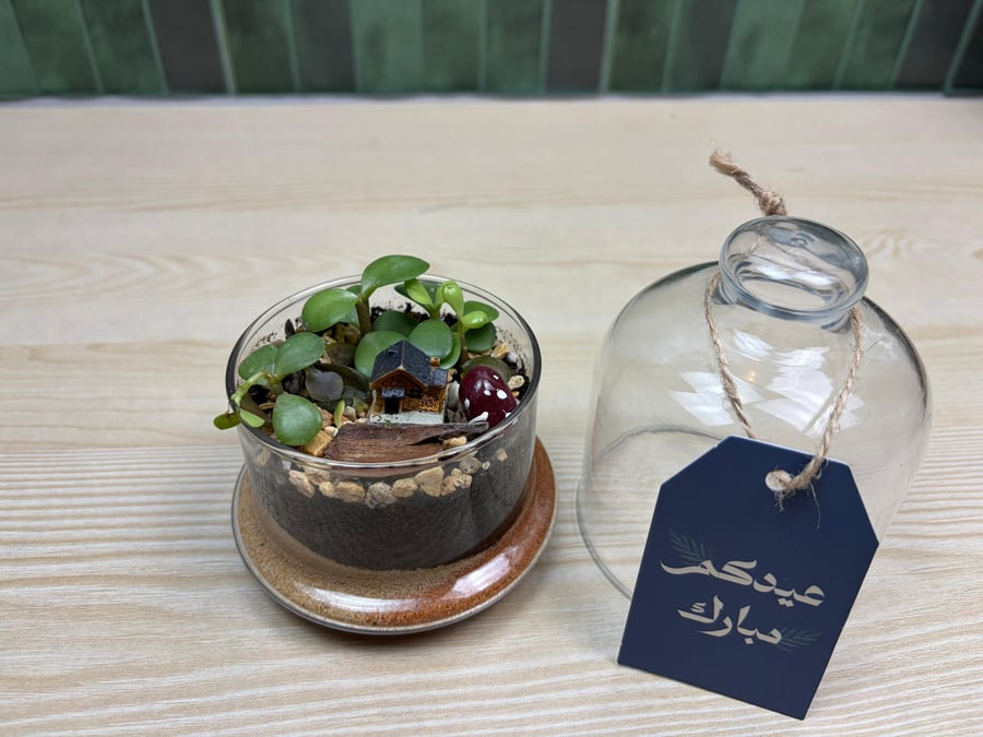 توزيعات العيد 6 🎆