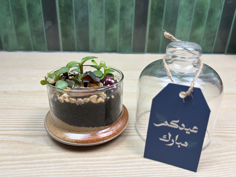 توزيعات العيد 6 🎆