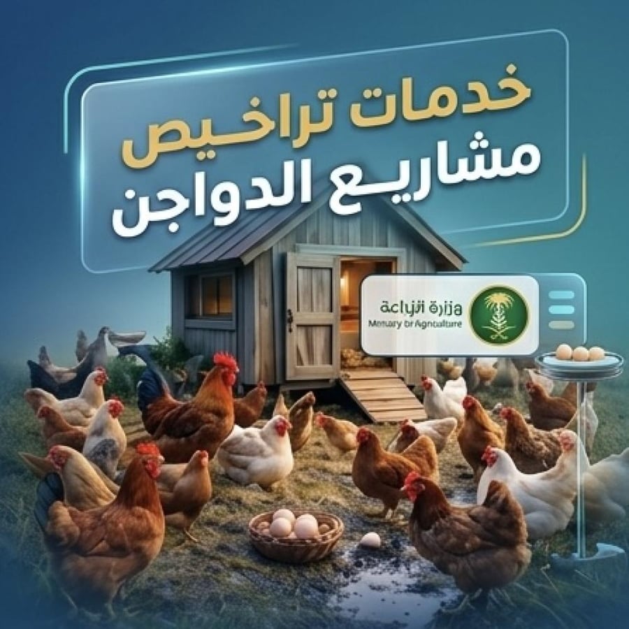 خدمات تراخيص مشاريع الدواجن