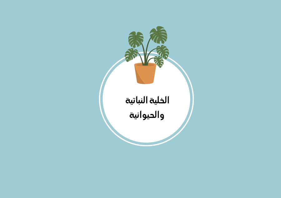 مطوية الخلية النباتية والحيوانية - علوم سادس ف1