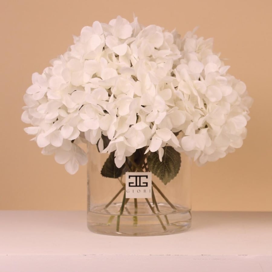 فازة هيدرنجا Alabaster Bloom