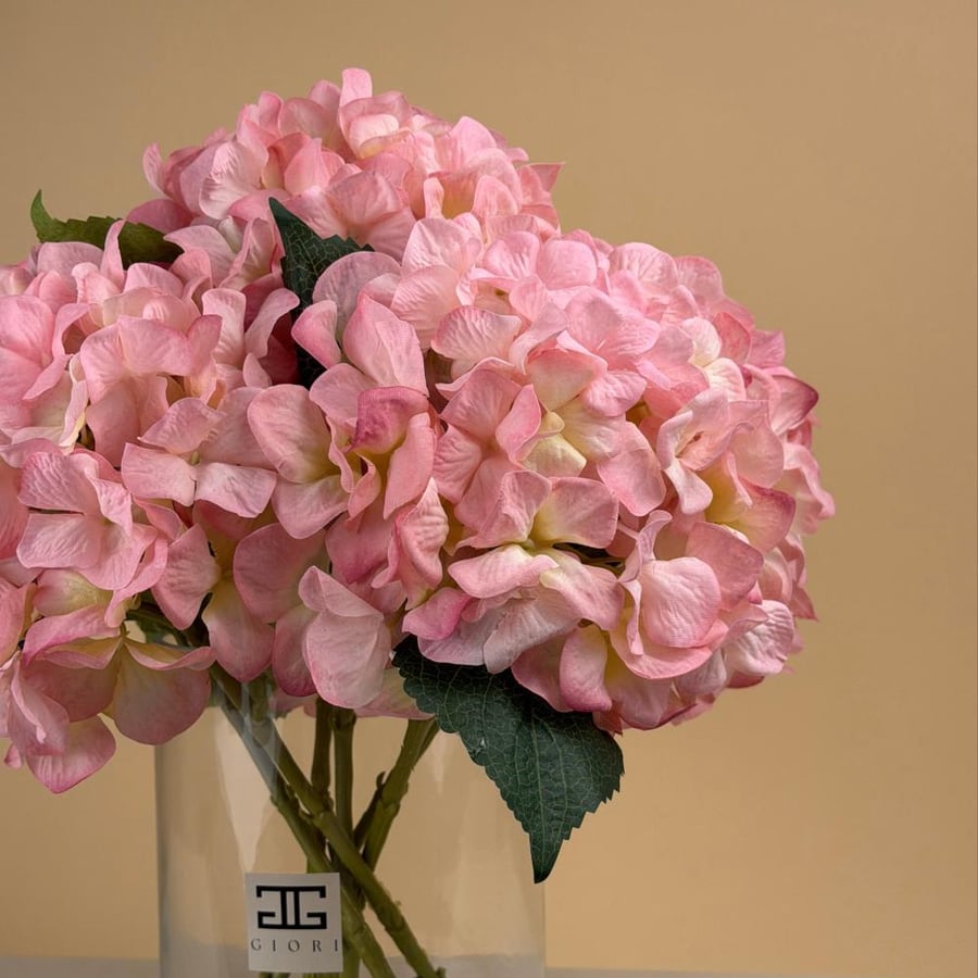 فازة هيدرنجا Petal
